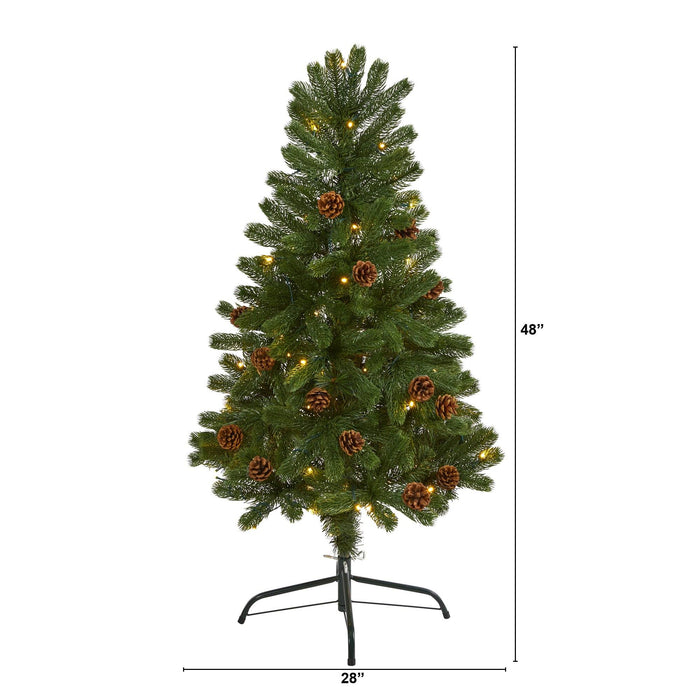 4' Rocky Mountain Spruce Artificial Christmas Tree with Pinecones and 70 Warm White LED Lights