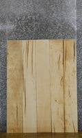 5- Ambrosia Maple Rustic Kiln Dried Craft Pack/Lumber Boards 43297-43298