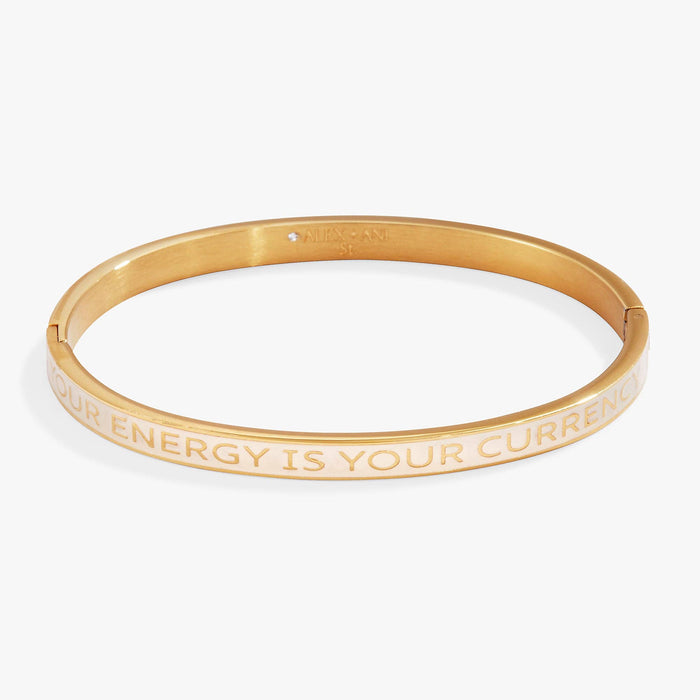 Alex & Ani ‘Your Energy Is Your Currency' Hinge Bangle