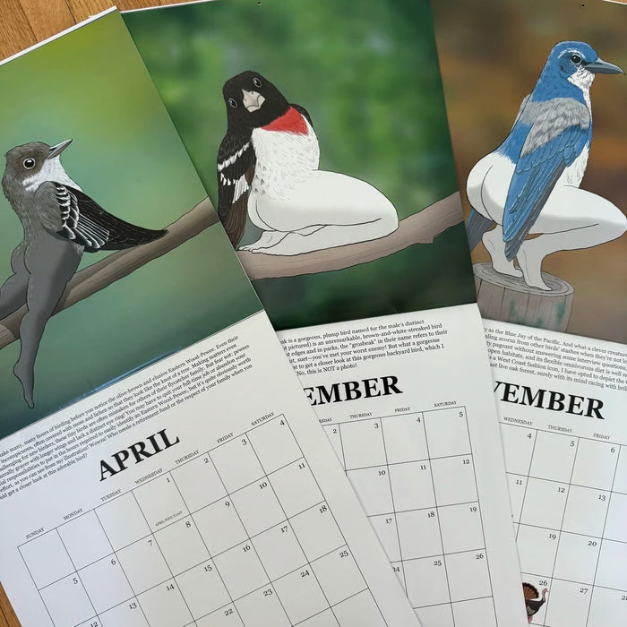 Christmas Gift 2026 Calendar of Extremely Accurate Birds