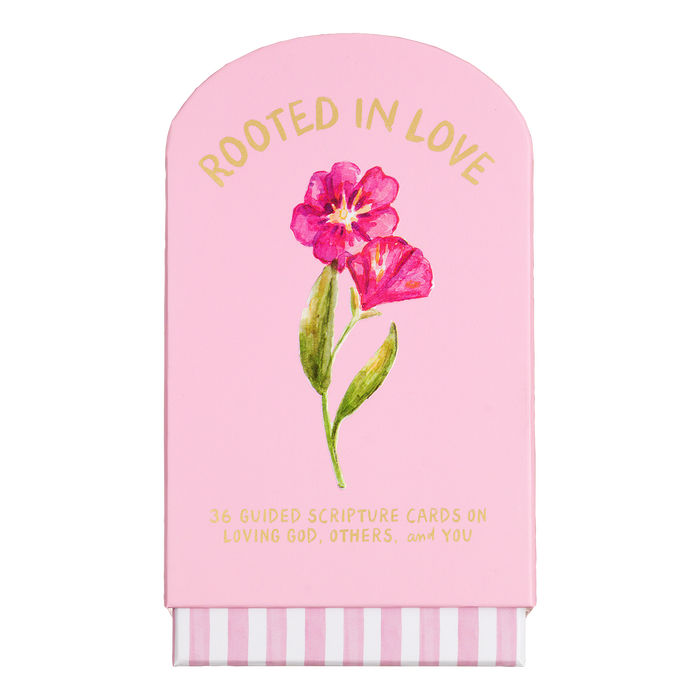 Faith Collection Guided Cards w/Stand Rooted in Love