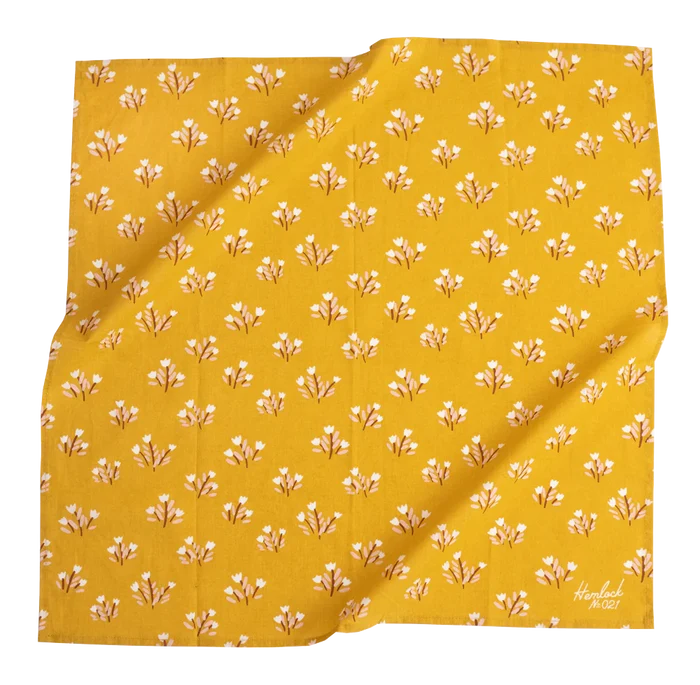 Hand Drawn Bandanas