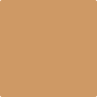 Shop the paint color 1146 Harvest Bronze by Benjamin Moore at Anderson Paint Company in Ann Arbor, Michigan.