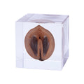 Sola Cubes