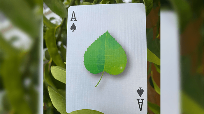 PlayingCardDecks.com-Leaf Playing Cards USPCC
