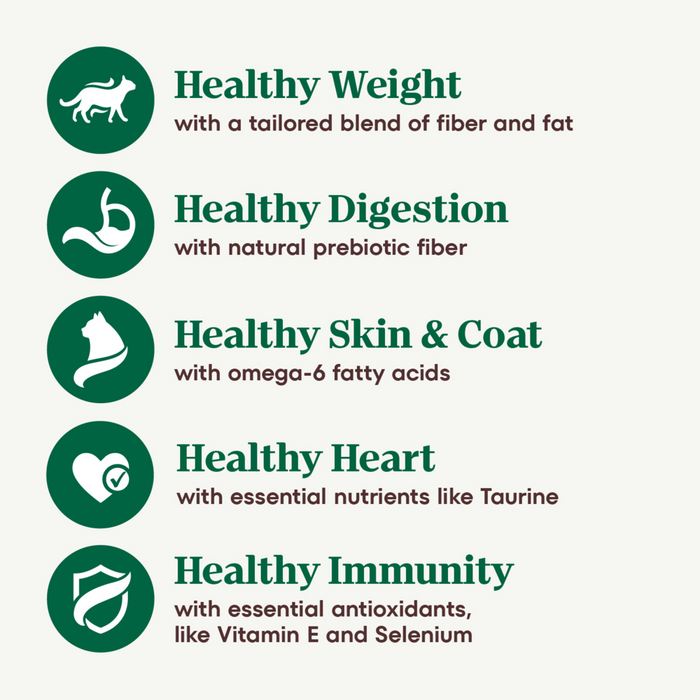 Nutro Wholesome Essentials Indoor Chicken and Brown Rice Recipe Adult  Dry Cat Food