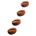 Pavoflex Silicone Mold - Mini Coffee Bean - 20 cavities