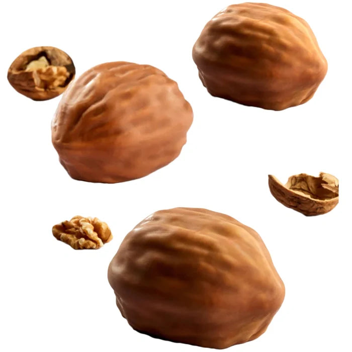 Pavoflex Silicone Mold - Walnut Shell - 15 cavities
