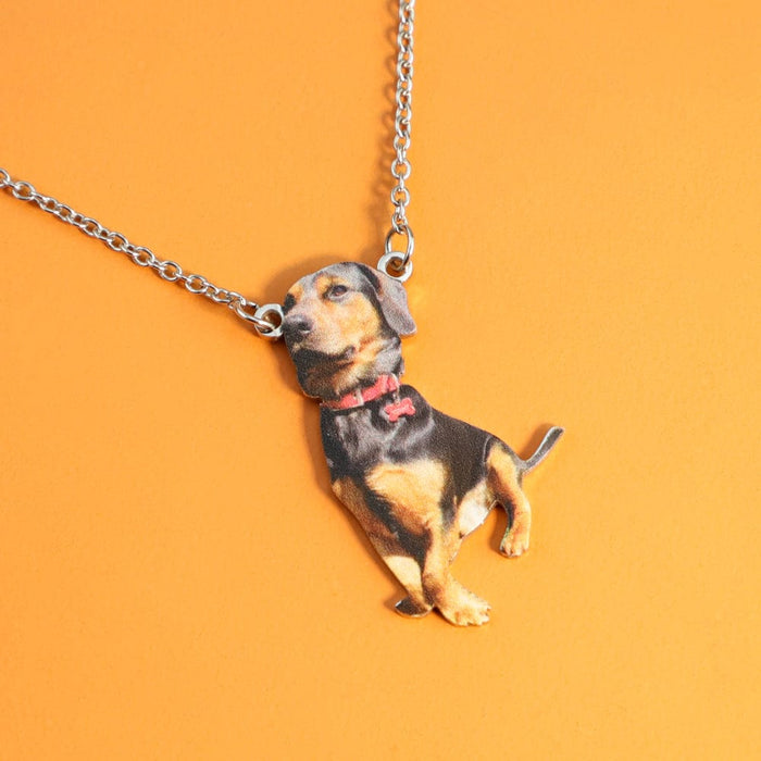Personalized Coloured Pet's Photo Necklace Necklace MelodyNecklace