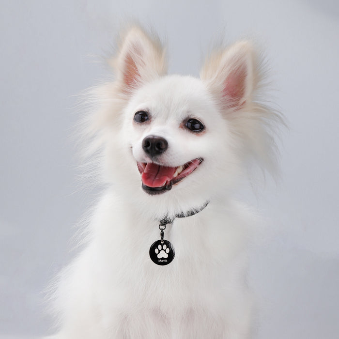 Personalized Dog Collar Engraved Custom Address or Phone Number Prevent Loss