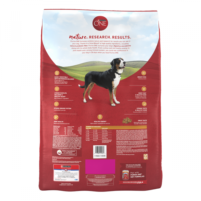 Purina One Chicken and Rice Dry Dog Food