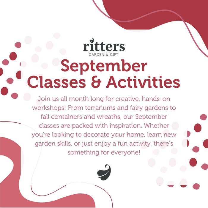 September Classes