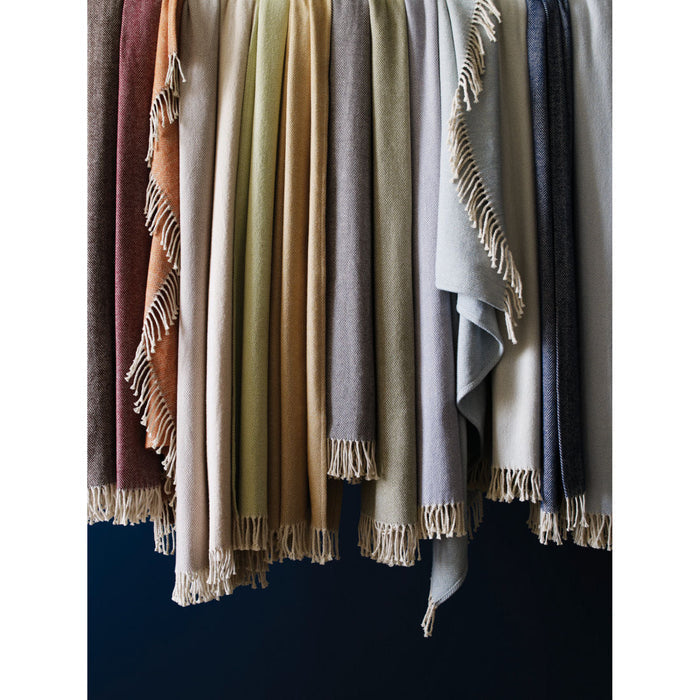 Sferra Celine Brushed Cotton Fringed Throw 51" x 71"